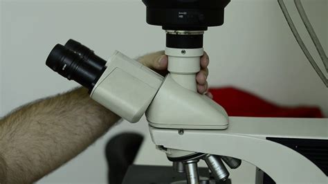Inverted mikroskop ne işe yarar